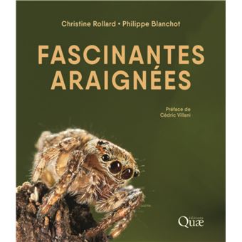 Fascinantes araignées - 1