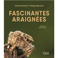 Fascinantes araignées