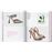 Shoes A-Z. 45th Ed.