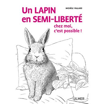 Un lapin en semi-liberté chez moi, c'est possible ! - 1