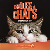 Le chat et ses amis : calendrier 2024 : de septembre 2023 à décembre 2024 -  Librairie Mollat Bordeaux