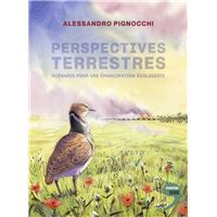 Perspectives terrestres