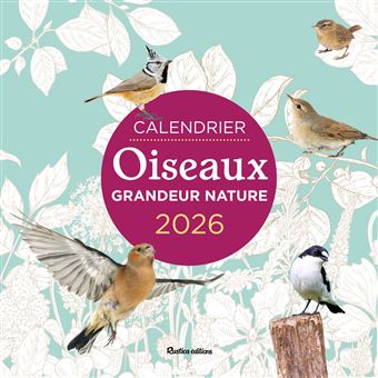 Calendrier Mural 2026 - Les Plus Beaux Oiseaux Du Monde - 12 Mois Avec Photos Spectaculaires - 2