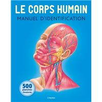 Le corps humain