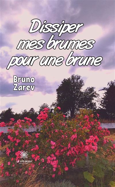 Dissiper mes brumes pour une brune