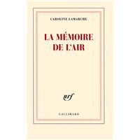 La mémoire de l'air
