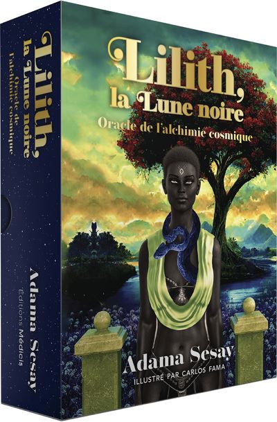 Cartes de Tarot Oracle Astrologie Lune Noire,Black Moon Astrology Oracle Tarot Cards with Bag Family Game