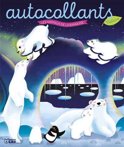 Autoc nature animaux banquise - Leila Brient - Lito - broche
