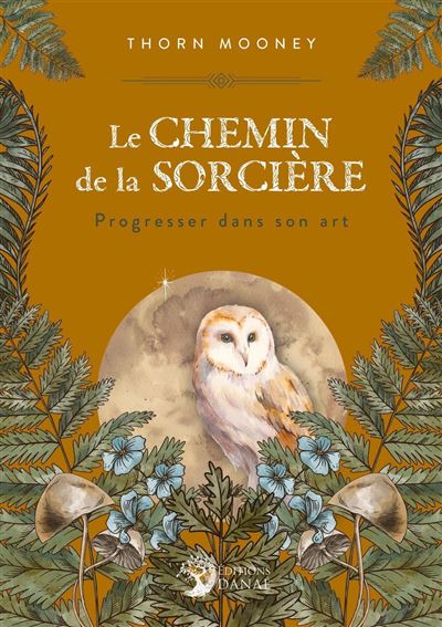 Le Chemin de la Sorciere - Progresser dans son Art - A.E. Wa