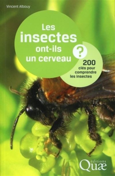 Les insectes ont-ils un cerveau ? - Vincent Albouy - broché