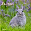 Calendrier Lapins 2025