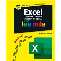 Excel 2024 Pas à Pas pour les Nuls
