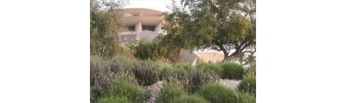 National Museum of Qatar Museum Guide