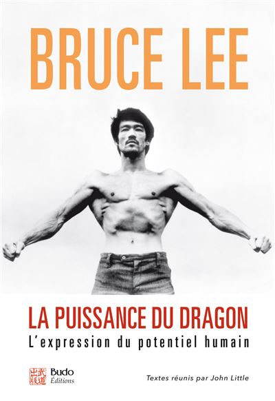 La puissance du dragon