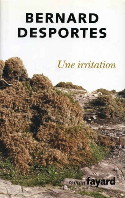 Une irritation - Bernard Desportes - Fayard - broché - Roman