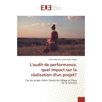 L'audit de performance, quel impact sur la realisation d'un projet? - 1
