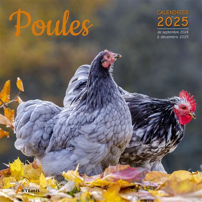 photo de l'objet