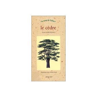 Le Cèdre - 1