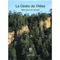 Le cèdre de l'Atlas