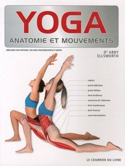 Yoga anatomie : Les muscles