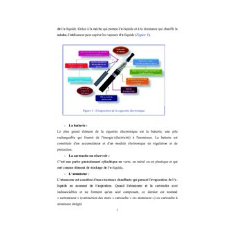 Toxicite du liquide de recharge de la cigarette electronique Impact sur la  physiologie du rongeur - broché - Nargès El Golli - Achat Livre