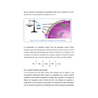 Toxicite du liquide de recharge de la cigarette electronique Impact sur la  physiologie du rongeur - broché - Nargès El Golli - Achat Livre
