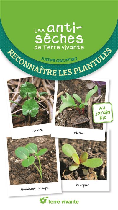 Reconnaître les plantules
