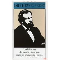 L'édification du monde historique dans les sciences de l'esprit