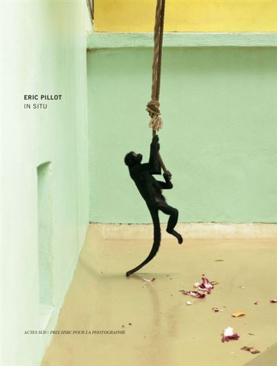 Eric Pillot In situ - Prix HSBC pour la photographie 2012