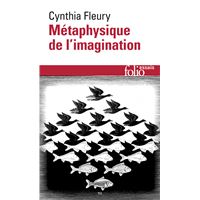 Métaphysique de l'imagination