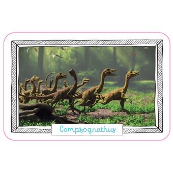 Le Grand mémo des Dinos