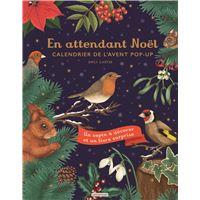Le compte à rebours de Noël : Collectif - 9464549866 - Livres pour enfants  dès 3 ans