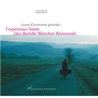Leçon d'économie générale : l'expérience-limite chez Bataille-Blanchot-Klossowski