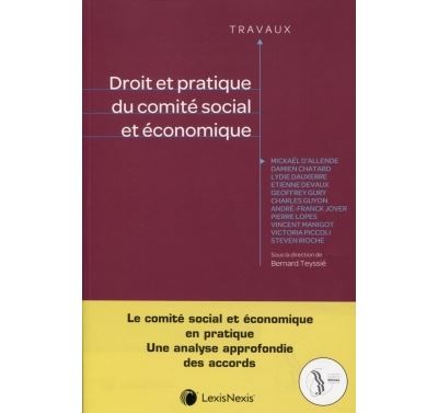 Droit et pratique du comite social et economique - Bernard Teyssié - broché