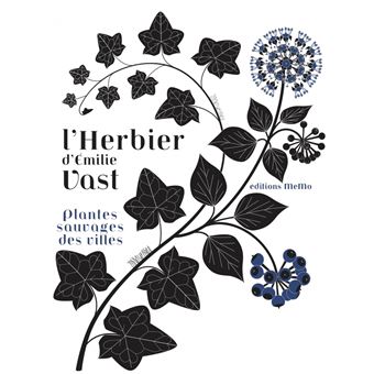 L'herbier  - plantes sauvages des villes - 1