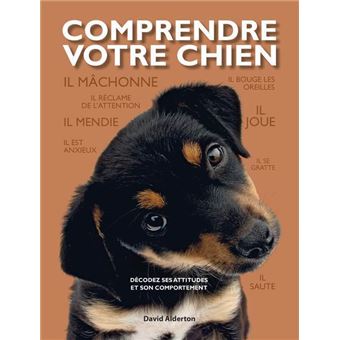 Comprendre votre chien - 1