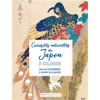 Curiosités naturelles du Japon à colorier - 1