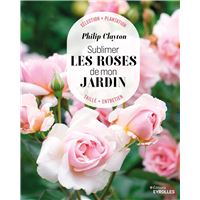 Sublimer les roses de mon jardin