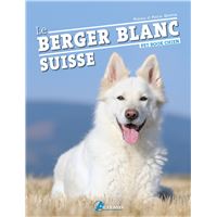 Berger blanc suisse