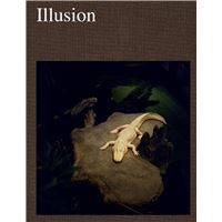 Illusion