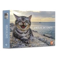 Calendrier Chatons 2024: COLLECTIF: 9782816021301: : Books