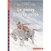 Le poney dans la neige