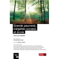Grande pauvreté, inégalités sociales et école
