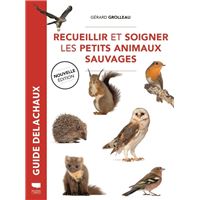 Recueillir et soigner les petits animaux sauvages