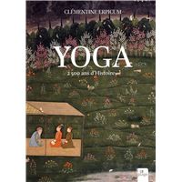 Yoga, 2500 ans d'histoire (nouvelle édition)