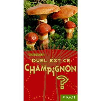 Quel est ce champignon ? - 1