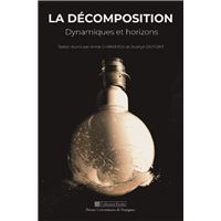 La décomposition. dynamiques et horizons