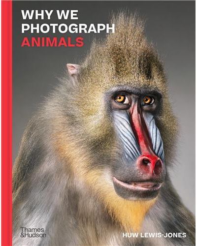 Why We Photograph Animals /anglais