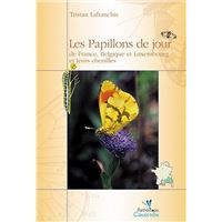 Les papillons de jour de france, belgique et luxembourg et leurs chenilles