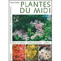 Plantes du Midi - guide de recherche, manuel d'emploi
